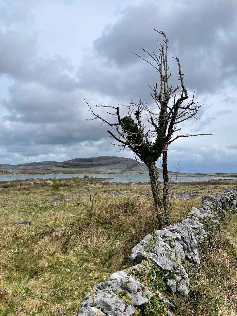 The Burren, County Clare, Ireland